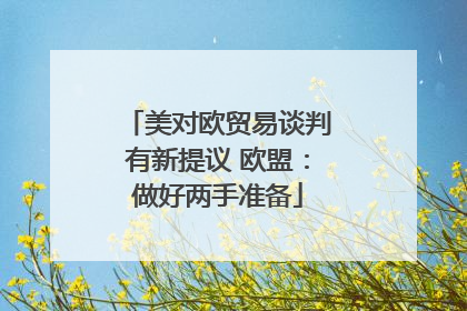 美对欧贸易谈判有新提议 欧盟：做好两手准备