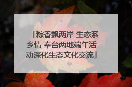 粽香飘两岸 生态系乡情 奉台两地端午活动深化生态文化交流