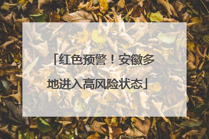 红色预警！安徽多地进入高风险状态