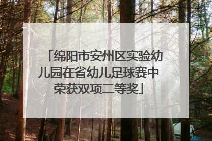 绵阳市安州区实验幼儿园在省幼儿足球赛中荣获双项二等奖