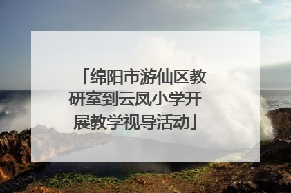 绵阳市游仙区教研室到云凤小学开展教学视导活动