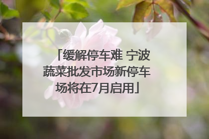 缓解停车难 宁波蔬菜批发市场新停车场将在7月启用