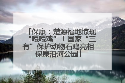 保康：楚源福地惊现“嘎嘎鸡”！国家“三有”保护动物石鸡亮相保康沿河公园
