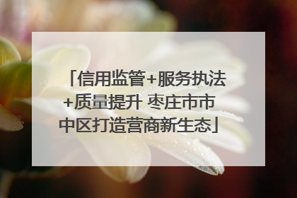 信用监管+服务执法+质量提升 枣庄市市中区打造营商新生态
