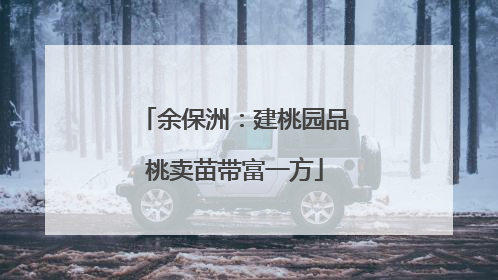 余保洲：建桃园品桃卖苗带富一方