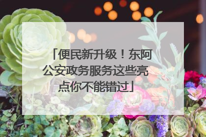 便民新升级！东阿公安政务服务这些亮点你不能错过