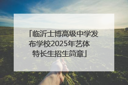 临沂士博高级中学发布学校2025年艺体特长生招生简章