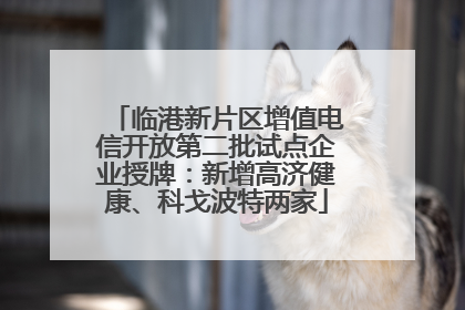 临港新片区增值电信开放第二批试点企业授牌：新增高济健康、科戈波特两家