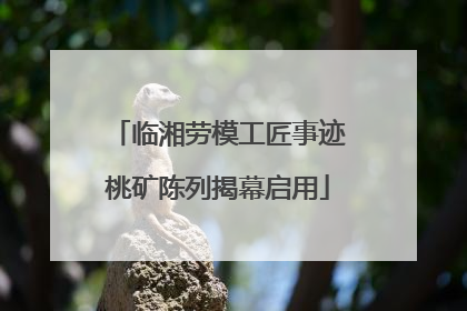 临湘劳模工匠事迹桃矿陈列揭幕启用