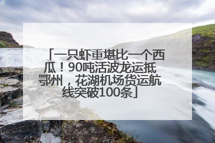 一只虾重堪比一个西瓜！90吨活波龙运抵鄂州，花湖机场货运航线突破100条