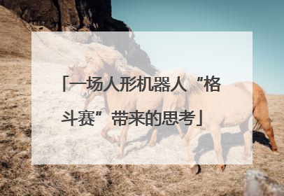 一场人形机器人“格斗赛”带来的思考