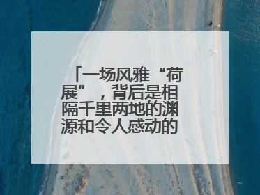 一场风雅“荷展”，背后是相隔千里两地的渊源和令人感动的历史人文情怀
