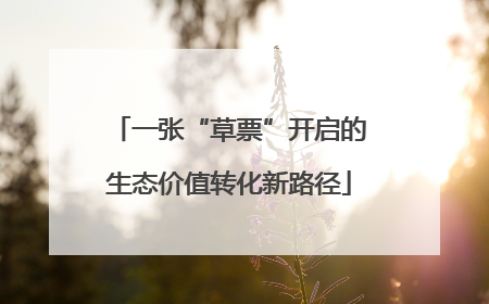 一张“草票”开启的生态价值转化新路径