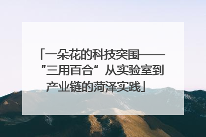 一朵花的科技突围——“三用百合”从实验室到产业链的菏泽实践