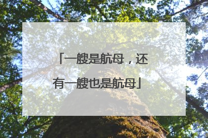 一艘是航母，还有一艘也是航母
