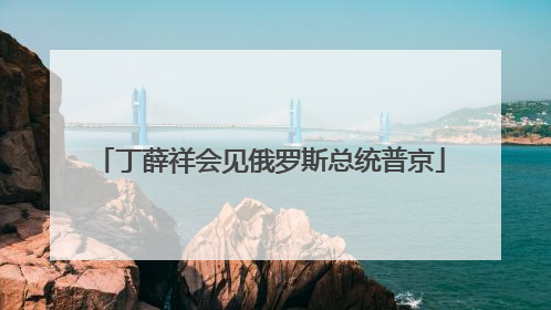 丁薛祥会见俄罗斯总统普京