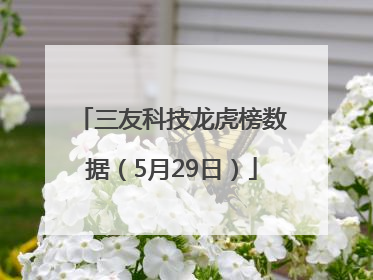 三友科技龙虎榜数据（5月29日）