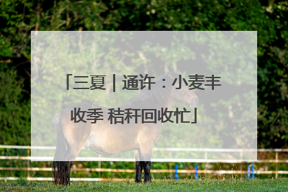 三夏｜通许：小麦丰收季 秸秆回收忙