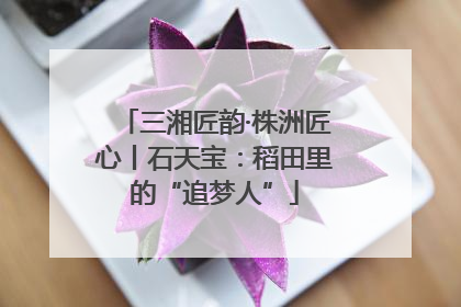 三湘匠韵·株洲匠心丨石天宝：稻田里的“追梦人”