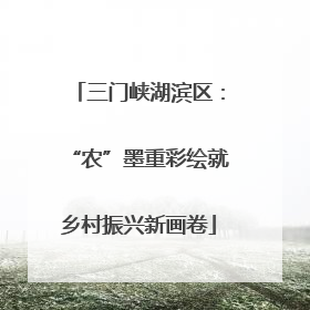 三门峡湖滨区：“农”墨重彩绘就乡村振兴新画卷