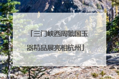 三门峡西周虢国玉器精品展亮相杭州