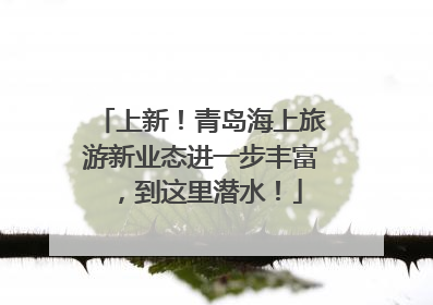 上新！青岛海上旅游新业态进一步丰富，到这里潜水！