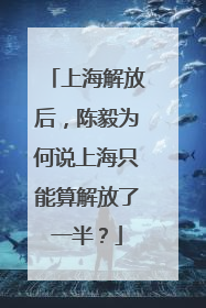 上海解放后，陈毅为何说上海只能算解放了一半？