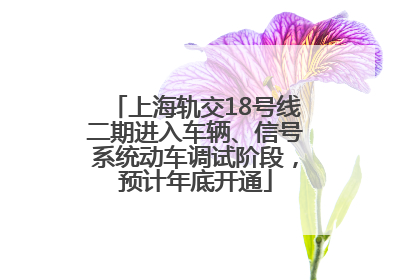 上海轨交18号线二期进入车辆、信号系统动车调试阶段，预计年底开通