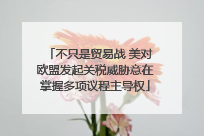 不只是贸易战 美对欧盟发起关税威胁意在掌握多项议程主导权