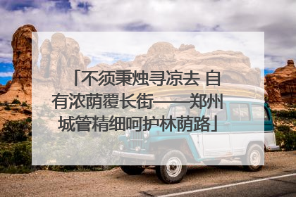 不须秉烛寻凉去 自有浓荫覆长街——郑州城管精细呵护林荫路