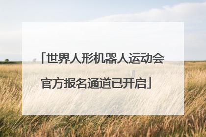 世界人形机器人运动会官方报名通道已开启