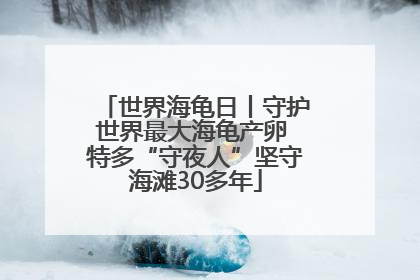 世界海龟日丨守护世界最大海龟产卵 特多“守夜人”坚守海滩30多年