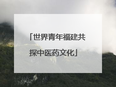 世界青年福建共探中医药文化