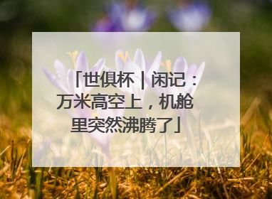 世俱杯｜闲记：万米高空上，机舱里突然沸腾了