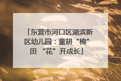 东营市河口区湖滨新区幼儿园：童耕“棉”田 “花”开成长