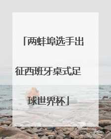 两蚌埠选手出征西班牙桌式足球世界杯