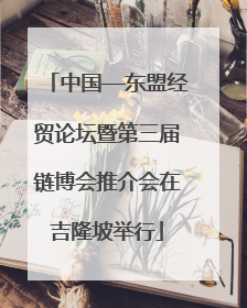 中国—东盟经贸论坛暨第三届链博会推介会在吉隆坡举行