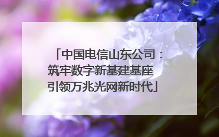 中国电信山东公司：筑牢数字新基建基座 引领万兆光网新时代