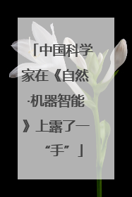 中国科学家在《自然·机器智能》上露了一“手”