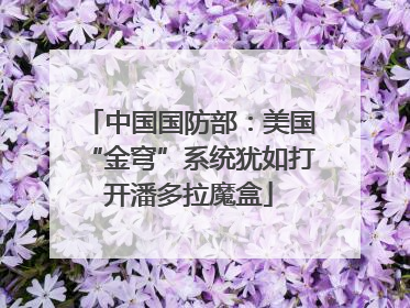 中国国防部：美国“金穹”系统犹如打开潘多拉魔盒