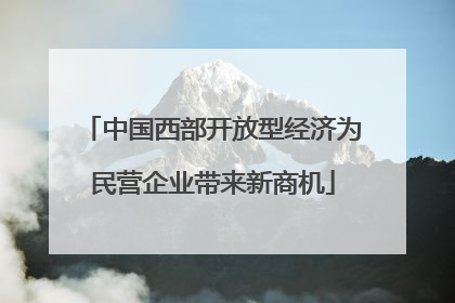 中国西部开放型经济为民营企业带来新商机