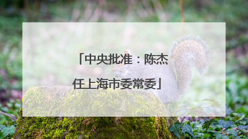 中央批准：陈杰任上海市委常委
