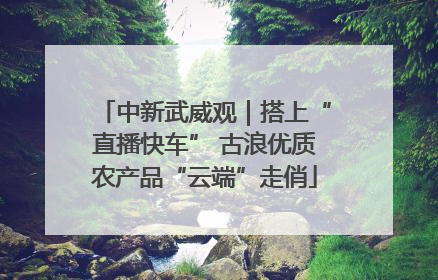 中新武威观｜搭上“直播快车” 古浪优质农产品“云端”走俏