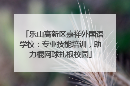 乐山高新区嘉祥外国语学校：专业技能培训，助力棍网球扎根校园