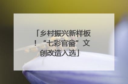 乡村振兴新样板！“七彩官畲”文创改造入选