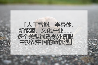 人工智能、半导体、新能源、文化产业……多个关键词透视外资眼中投资中国的新机遇