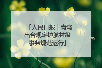人民日报｜青岛出台规定护航村级事务规范运行