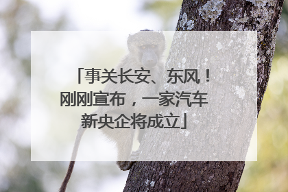 事关长安、东风！刚刚宣布，一家汽车新央企将成立
