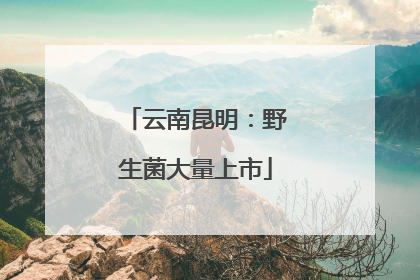 云南昆明：野生菌大量上市