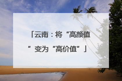 云南：将“高颜值”变为“高价值”